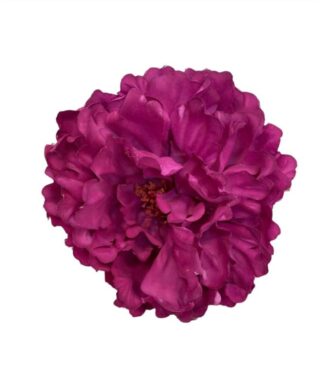 FLOR PEONIA PARIS