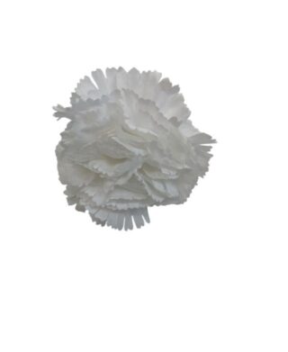 MINI CLAVELES