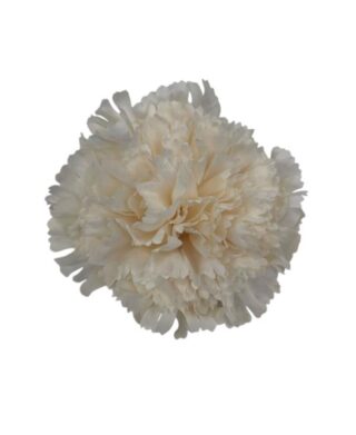 FLOR CLAVEL