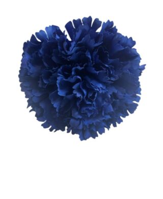 FLOR CLAVEL