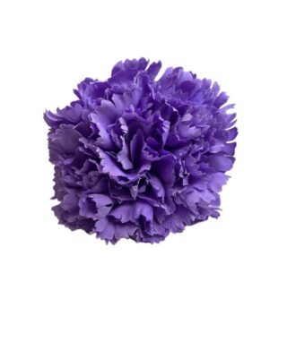 FLOR CLAVEL